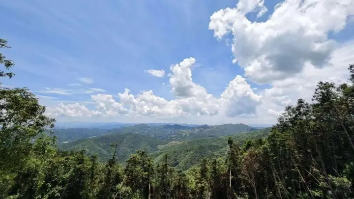 【中医药康旅】徒步香坪山，邂逅山水诗行