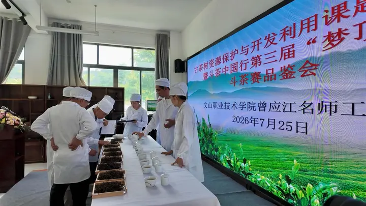 文山首届古树茶斗茶品鉴活动顺利举办
