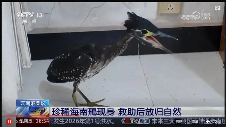 麻栗坡： 边境检察护航国门绿水青山