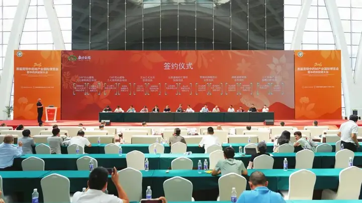 “药博会”上结硕果！文山累计接待客商1万余人次，达成71份意向订单