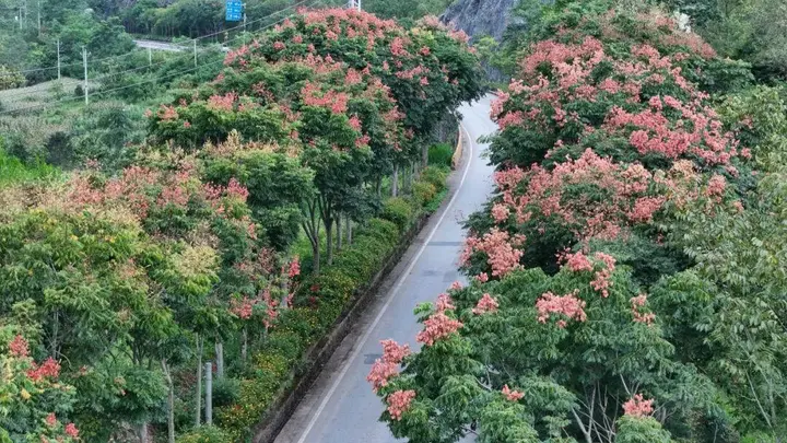西畴:把秋天写成诗……