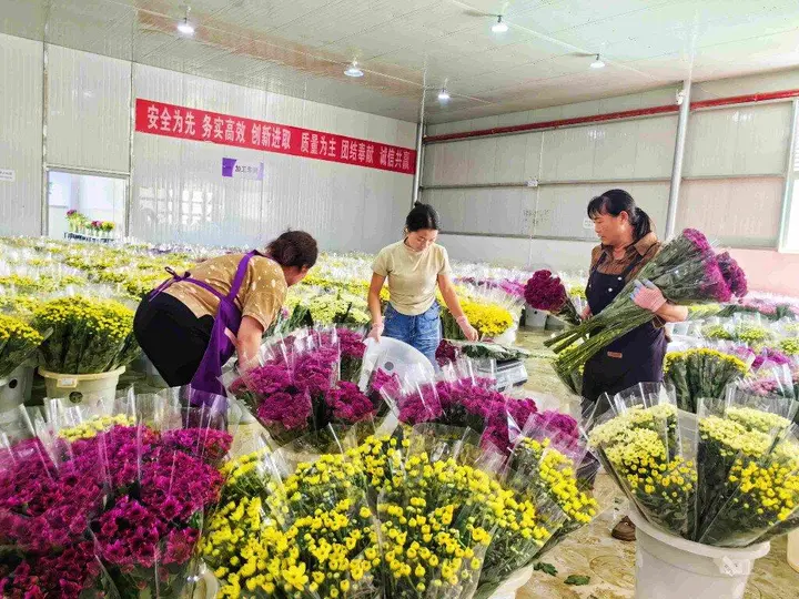 马关“美丽车间”里,幸福触手可及