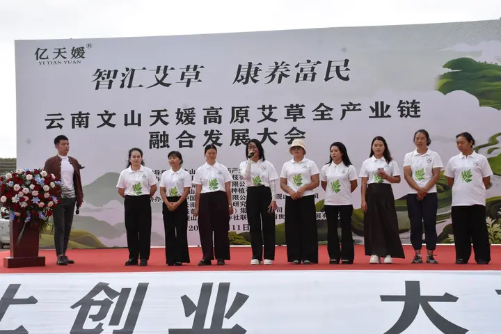 一株艾草，搭起“康养富民”桥