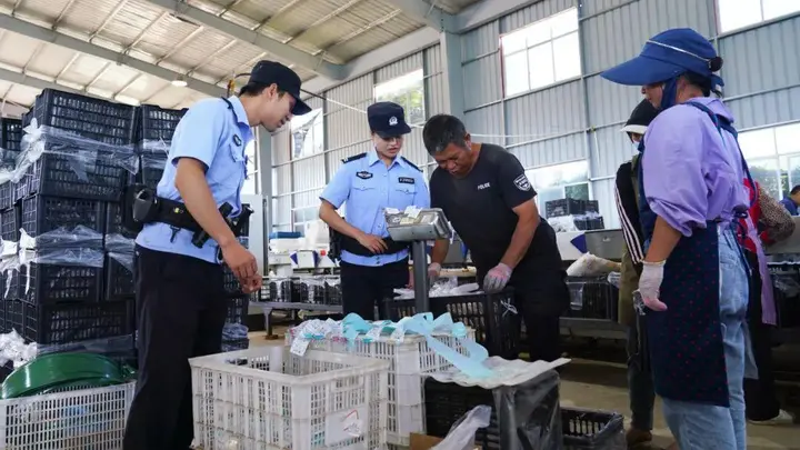 西畴公安：警务跟着水果走 守护鲜果出山