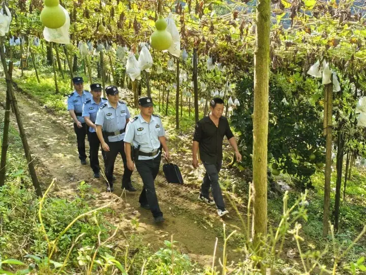 他们走进田间地头，成为满园“葫芦娃”的平安守护者