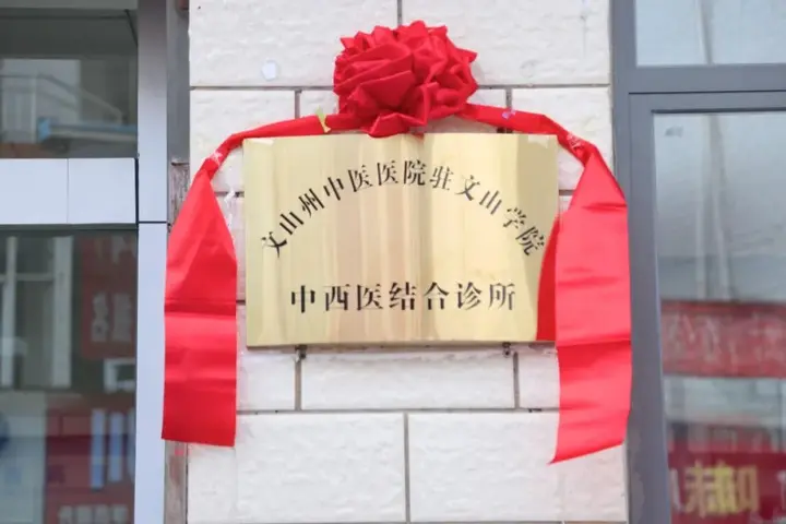 文山州中医医院驻文山学院中西医结合诊所正式揭牌开诊