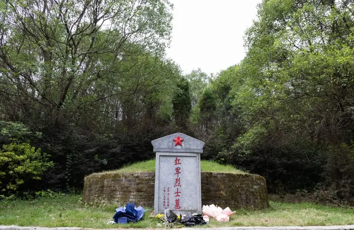 赓续长征精神 奋进复兴征程·长征壮歌丨枫香树下那碗汤