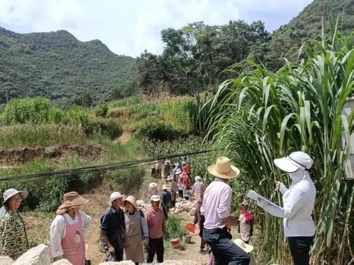 治理不“漫灌”整治有章法——文山市古木镇以四维整治刷新镇村面貌