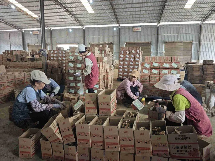 揽投比1.02:1领跑全州 马关快递“双向奔赴”助力兴边富民