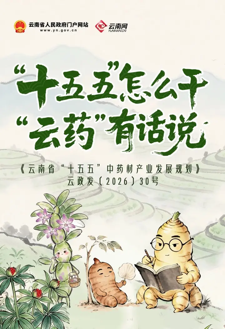 减160.8万亩，增500亿元，三七等云药奋进！